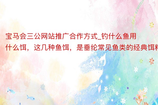 宝马会三公网站推广合作方式_钓什么鱼用什么饵，这几种鱼饵，是垂纶常见鱼类的经典饵料