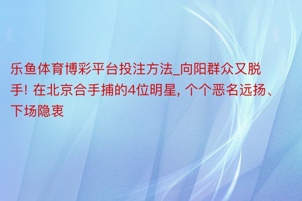 乐鱼体育博彩平台投注方法_向阳群众又脱手! 在北京合手捕的4位明星, 个个恶名远扬、下场隐衷